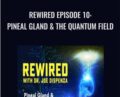 Rewired Episode 10: Pineal Gland and the Quantum Field – Joe Dispenza