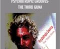 Psychotropic Grooves: The Third Guna – John Overdurf