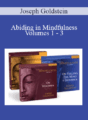 Joseph Goldstein – Abiding in Mindfulness Volumes 1 – 3