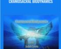 Craniosacral Biodynamics – Judah Lyons