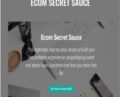 Ecom Secret Sauce – Kobe and Du
