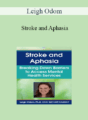 Leigh Odom – Stroke and Aphasia: Breaking Down Barriers to Access Mental Health Services