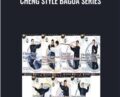 Cheng Style Bagua Series – Liu Jing Ru