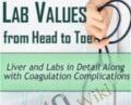 Liver and Labs in Detail Along with Coagulation Complications – Cyndi Zarbano