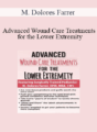 M. Dolores Farrer – Advanced Wound Care Treatments for the Lower Extremity