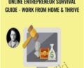 Online Entrepreneur Survival Guide-Work From Home and Thrive – Mark Timberlake
