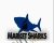 MarketSharks Forex Training – Avdo Hadziavdic