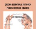 Qigong Essentials 36 Touch Points for Self-Healing – Master Tsao