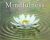 Mastering Mindfulness –  Joan Borysenko and other