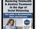 Mastering Telehealth and Anxiety Treatment in the Age of Social Distancing: Your guide to documentation, ethics and insurance – Catherine M. Pittman and Joni Gilbertson