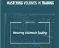Mastering Volumes in Trading – Urbanforex