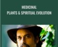 Medicinal Plants and Spiritual Evolution – David Crow