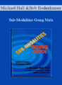 Michael Hall and Bob Bodenhamer – Sub-Modalities Going Meta
