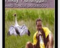 Hard Tongue Didgeridoo – Milkay Mununggurr