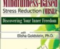 Mindfulness-Based Stress Reduction (MBSR): Discovering Your Inner Freedom with Elisha Goldstein, Ph.D. – Elisha Goldstein