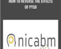How to Reverse the Effects of PTSD – NICABM