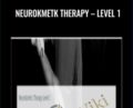NeuroKmetk Therapy-Level 1 – David Wemstock