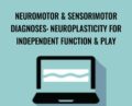 Neuromotor and Sensorimotor Diagnoses: Neuroplasticity for Independent Function and Play – Paula Cox