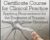 Neuroscience Certificate Course for Clinical Practice: Applying Neuroscience for the Treatment of Trauma, Anxiety and Stress Disorders – Melanie Greenberg