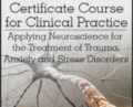 Neuroscience Certificate Course for Clinical Practice: Applying Neuroscience for the Treatment of Trauma, Anxiety and Stress Disorders – Melanie Greenberg
