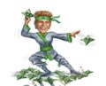 New Wealth Ninja Course – Monica Main