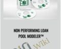 Non Performing Loan Pool Modeler – Dan Drew