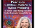 Norse Shamanic Practices to Restore Emotional and Physical Wellbeing – Evelyn C. Rysdyk