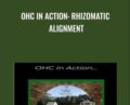 OHC in Action: Rhizomatic Alignment – John Overdurf