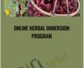 ONLINE HERBAL IMMERSION PROGRAM – Juliet Blankespoor