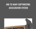 One To Many Copywriting Accelerator System – Dave Dee