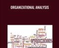 Organizational Analysis – Daniel McFarland