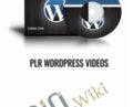 PLR WordPress Videos – Steve Dougherty