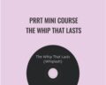 PRRT Mini Course-The Whip That Lasts – John Iams