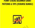 Penny Stocks Beginner Chart Patterns and Tips (2Course Bundle) – Saad Tariq Hameed