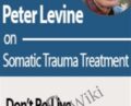 Peter Levine on Somatic Trauma Treatment – Peter Levine
