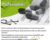 Pharmacology for Rehabilitation Professionals – Suzanne Tinsley