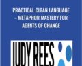 Practical Clean Language-Metaphor Mastery For Agents Of Change – Judy Rees