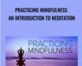 Practicing Mindfulness An Introduction to Meditation – Mark W. Muesse