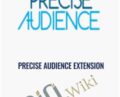 Precise Audience Extension – Faceids.com