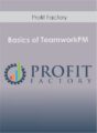 Profit Factory – Basics of TeamworkPM