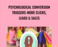 Psychological Conversion Triggers-More Clicks, Leads and Sales – The Digital Hack Academy