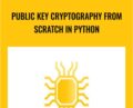 Public Key Cryptography From Scratch In Python – Sefik Ilkin Serengil