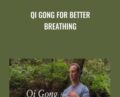 Qi Gong for Better Breathing – Lee Holden