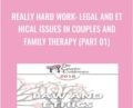 Really Hard Work: Legal and Ethical Issues in Couples and Family Therapy (Part 01) – Steven Frankel