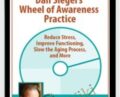 Wheel of Awareness Practice: Reduce Stress, Improve Functioning, Slow the Aging Process, and More – Dan Siegels
