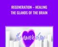 Regeneration-Healing the Glands of the Brain – Julie Renee