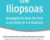 Release the Iliopsoas: Strategies to Stop the Pain in as Little as 4-6 Sessions – Peggy Lamb