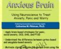 Rewire the Anxious Brain: Using Neuroscience to End Anxiety, Panic and Worry – Catherine M. Pittman