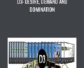 D3: Desire, Demand and Domination – Rich Schefren