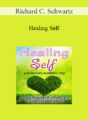 Richard C. Schwartz – Healing Self: Going Beyond Acceptance to Self-Compassion